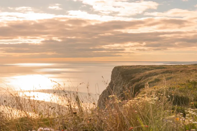 Why Pursuing Happiness Is Keeping You From It