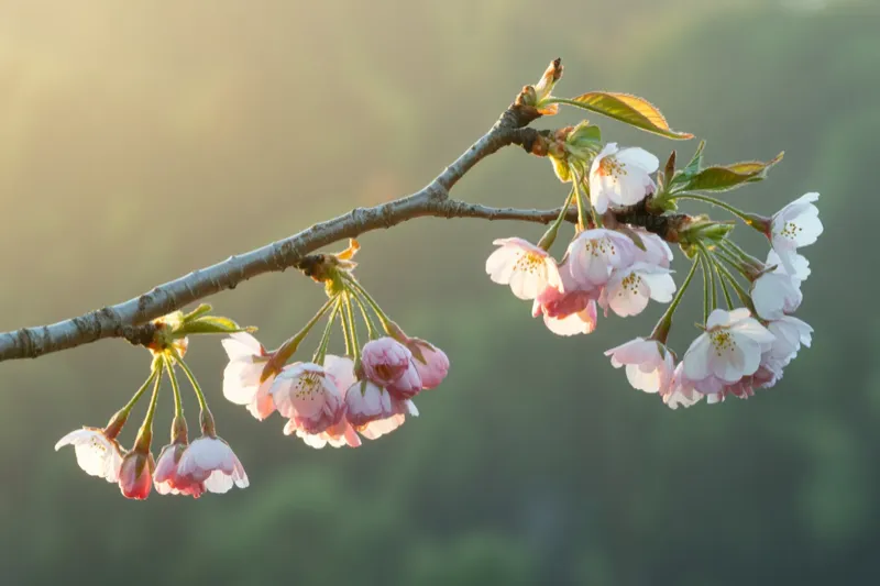 Why Talking About the Past Is Making It Harder to Leave It Behind