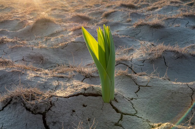 When the Feeling of Lack Doesn't Match Your Life