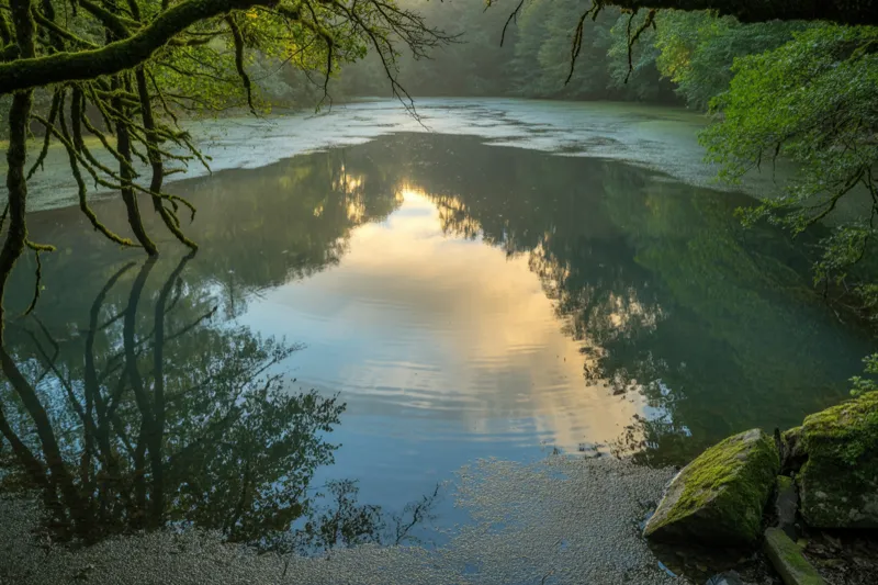 Panic Keeps Finding You Unexpectedly