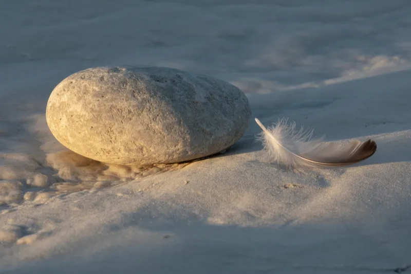 Peace Isn't Something You're Supposed to Practice